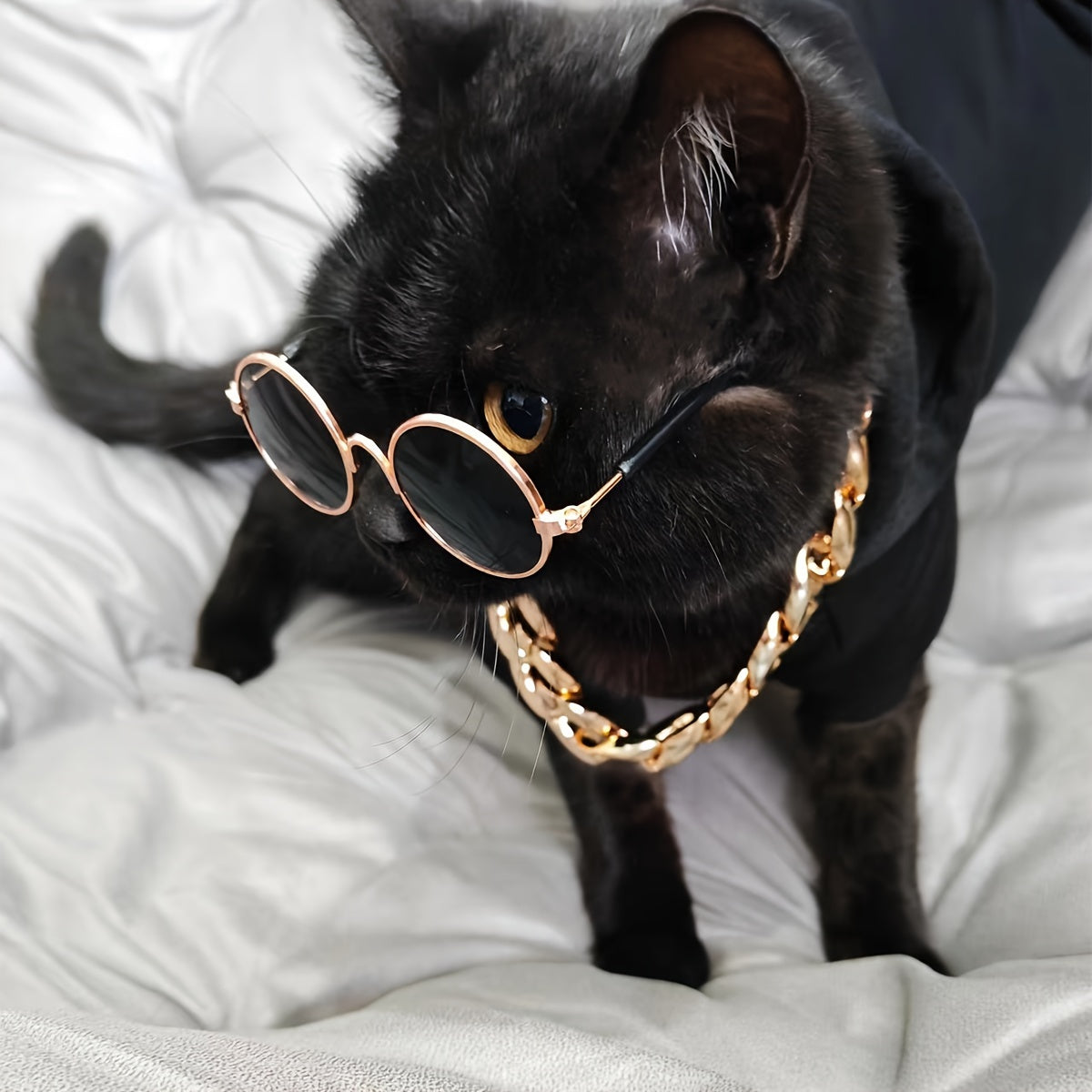 3-Piece Pet Outfit: Hoodie, Chain, & Sunglasses - Perfect for Stylish Cats!