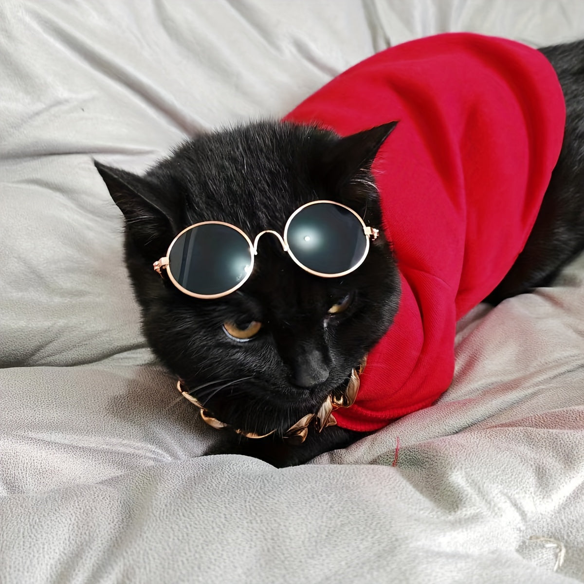 3-Piece Pet Outfit: Hoodie, Chain, & Sunglasses - Perfect for Stylish Cats!