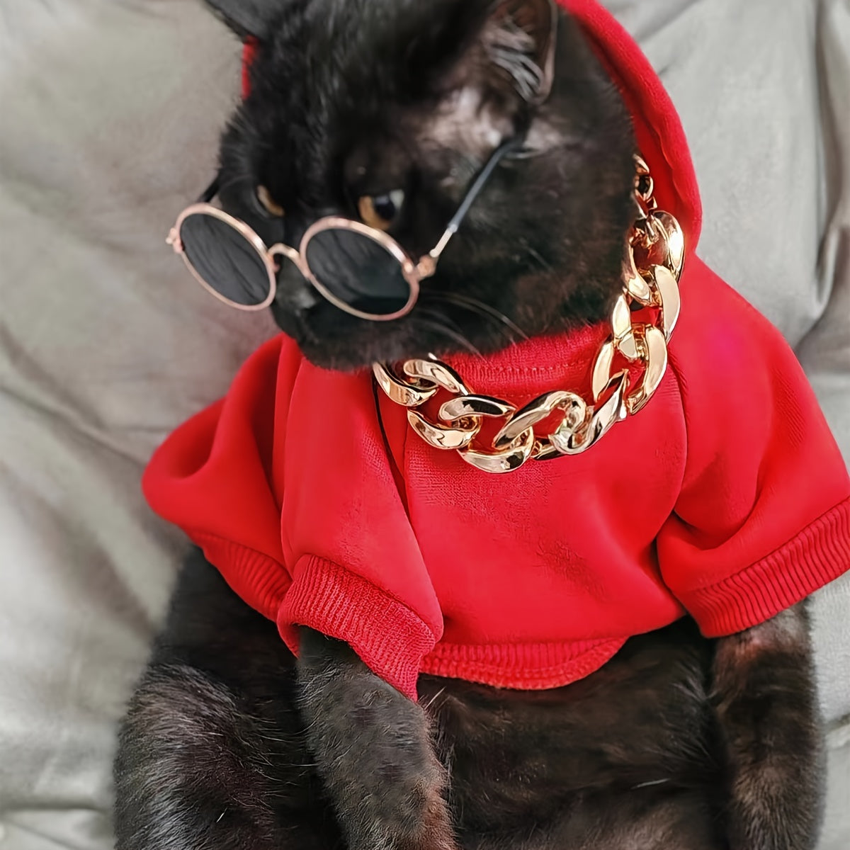 3-Piece Pet Outfit: Hoodie, Chain, & Sunglasses - Perfect for Stylish Cats!
