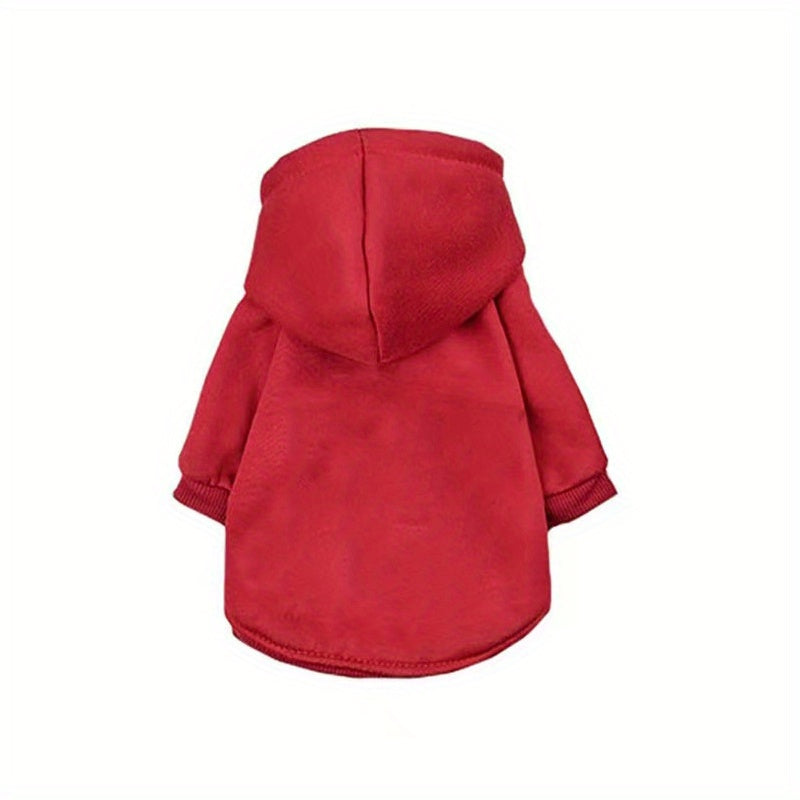3-Piece Pet Outfit: Hoodie, Chain, & Sunglasses - Perfect for Stylish Cats!