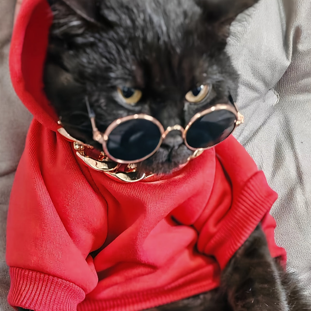 3-Piece Pet Outfit: Hoodie, Chain, & Sunglasses - Perfect for Stylish Cats!