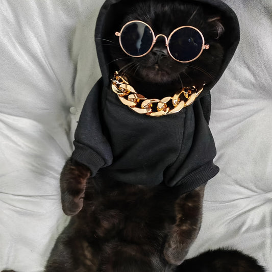 3-Piece Pet Outfit: Hoodie, Chain, & Sunglasses - Perfect for Stylish Cats!
